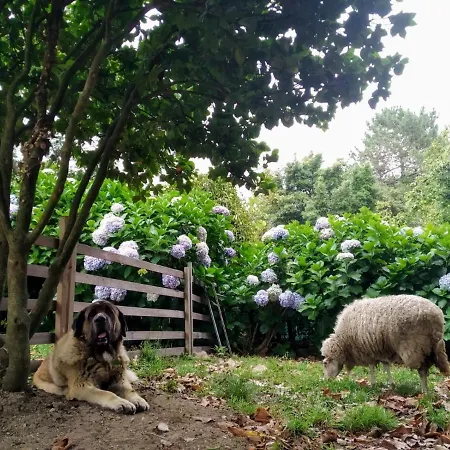 Pepe, Casa Compartida Pontevedra