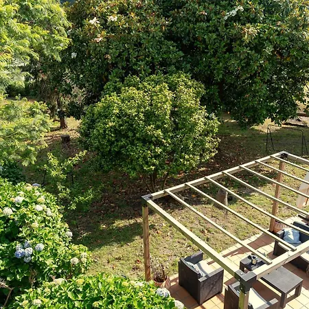 Pepe, Casa Compartida Homestay Pontevedra