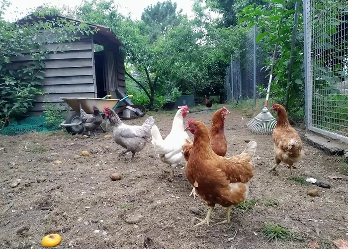 Δωμάτια σε οικογενειακή κατοικία Pepe, Casa Compartida Ποντεβέντρα