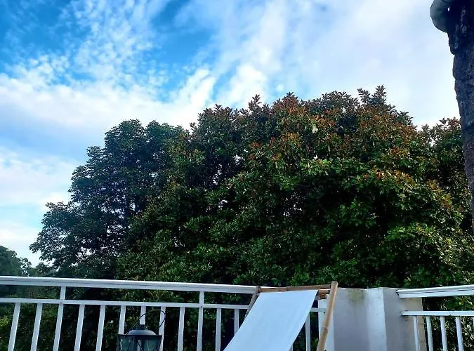 Pepe, Casa Compartida Ποντεβέντρα